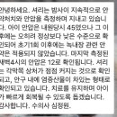 캐비어동물메디컬센터 이미지