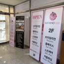 거대토끼뷰티