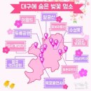 동산관광주 이미지
