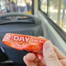 2019 International Hebaellydance Festival | 2025 부산국제락페스티벌 9월 27일 토요일 후기