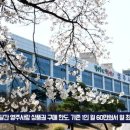 영주, 설맞이 영주사랑 상품권 구매 한도 상향 세명일보 정의삼기자 이미지