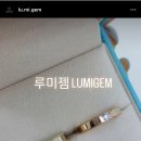 비채투어