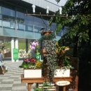 중앙원예 이미지