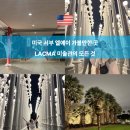 어반라이트 | 엘에이 LACMA 솔직 후기 어반라이트 사진 꿀팁
