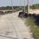 제주 올레길 20코스 이미지