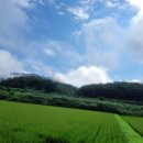 간성당구장 이미지