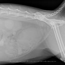 동구종합동물병원 이미지