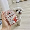 댕냥이집사몰 | 가성비 굿! 애견간식쇼핑 ‘댕냥이집사몰’ 후기