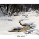 리안목장 이미지