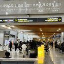 룩셈부르크 워홀 준비 신체검사 연세세브란스병원 방문 후기