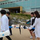 온양신정초등학교 이미지