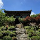 영천 죽림사 철조여래좌상 이미지