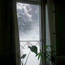 학포웰빙가 이미지