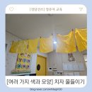 치자로 물들이기 이미지