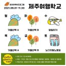 가을제주 11월 제주 제주서부 뚜벅이 여행 코스