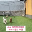 바이더폰드 이미지