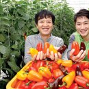 인정농장 이미지