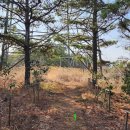 진도망금산관방성 이미지