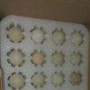 바람골농장 이미지