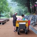 선바위자연캠핑장 이미지