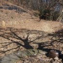 시온민박 이미지