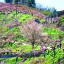 반곡저수지 이미지