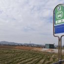 이숙기 묘 이미지