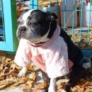 태산농장 이미지