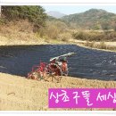 방골농장 Daum카페