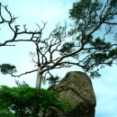 기초과학연구원의 성공적인 건립을 기대하며. 범고래. 판도라 상자 모바일 투표. 초강력 토네이도 이미지