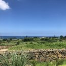 달토르펜션 이미지