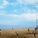 바다정원 이미지