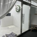 파브 퍼피 이미지