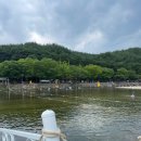 거창 | 거창에서 거창한 후기 : 거창 수승대 물놀이, 다우리밥상