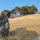 박안건 묘소 이미지