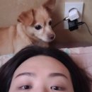 귀순농장 | 여름극혐핑