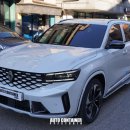 중원 꿈톡톡 | 그랑콜레오스 무광 새틴 유니버스 화이트 가격 추가하지 말고, PPF 선택해보세요!