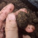 포항곤충농장 이미지