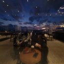 스타벅스춘천구봉산R점 이미지