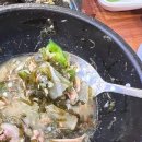 썬 하우 | 중문 아침식사로 좋은 제주고사리해장국 중문본점 내돈내산 후기