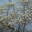 동래원예고등학교 이미지