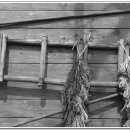 봉암2리 이미지