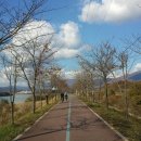 남한강자전거길 2 이미지