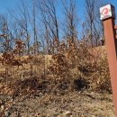 박세영선생묘 및 신도비 이미지