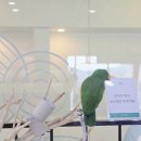 증평군청소년수련관 | 증평 :) 벨포레리조트 미디어아트, 목장 내돈내산 재방문 솔직 후기/아이와 가기 좋은 곳 추천