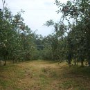 잘생긴부동산중개 이미지