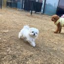 헤이몽 네이버블로그