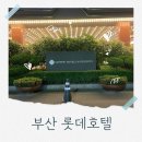 핑거푸드와 와인&칵테일(야간) | 롯데호텔 부산 조식 해피아워 위치 예약 꿀팁 후기