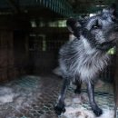 밍크모텔 이미지