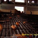 성일체육관 이미지